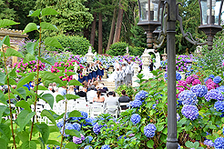 A FAIRY TALE WEDDING